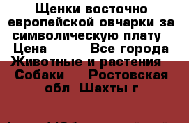 Щенки восточно европейской овчарки за символическую плату › Цена ­ 250 - Все города Животные и растения » Собаки   . Ростовская обл.,Шахты г.